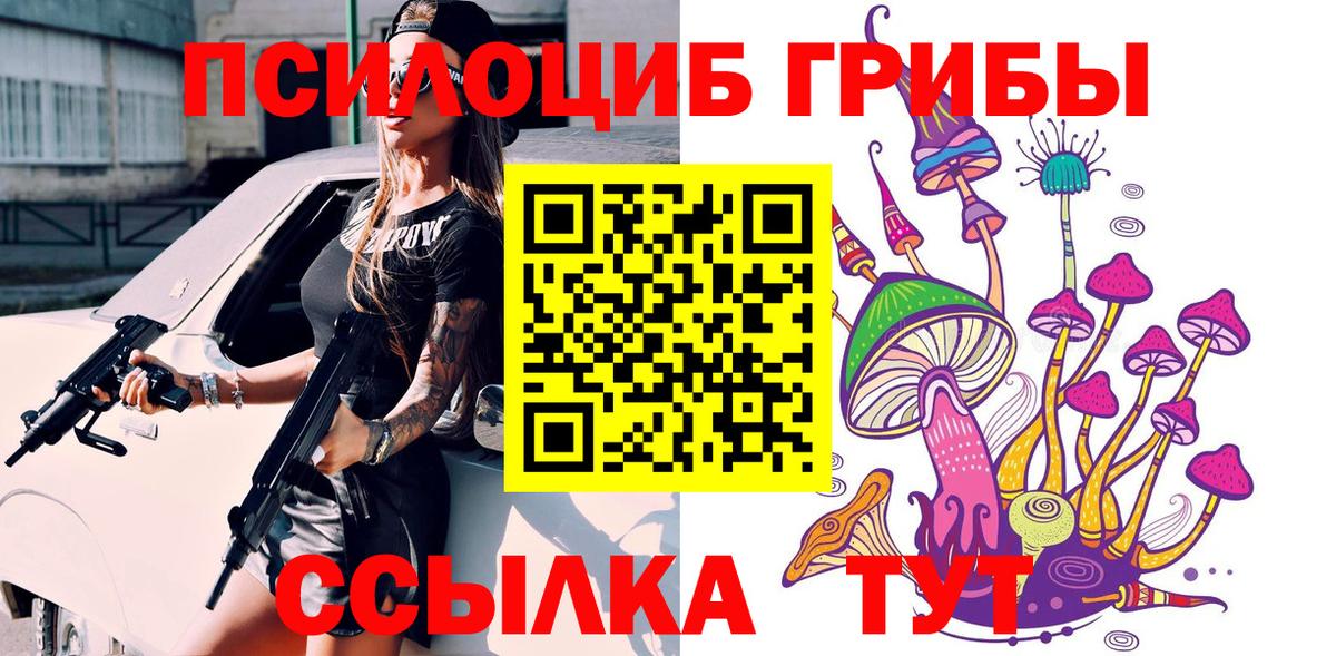 Псилоцибиновые грибы Cubensis Бор