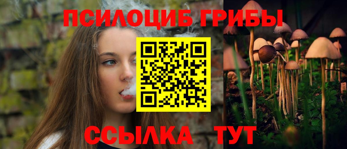 Галлюциногенные грибы прущие грибы  Вход с VPN  как найти наркотики  Бор 